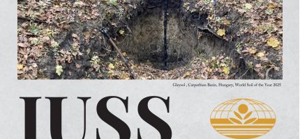 145 Iuss Bulletin