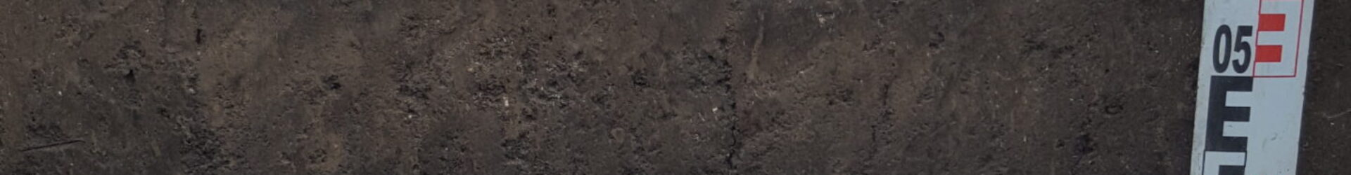 Soil science books published in 2007